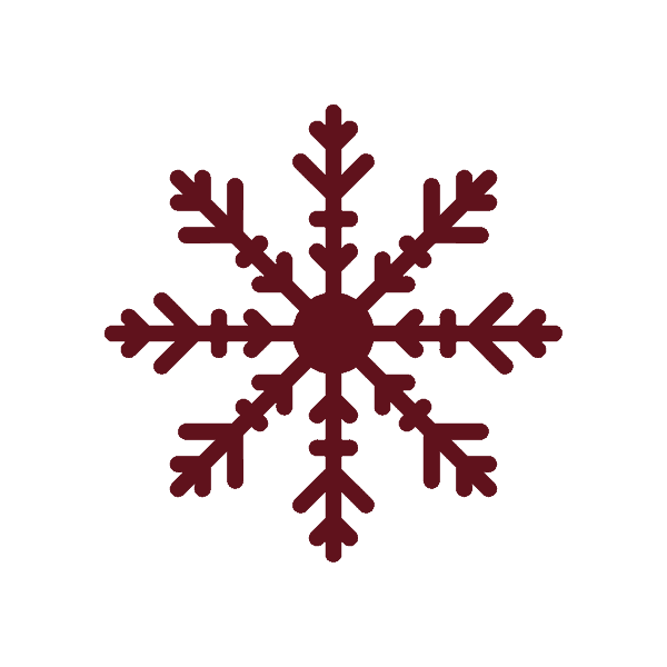 Ofertas y Promociones de bodas-Bodas de Invierno