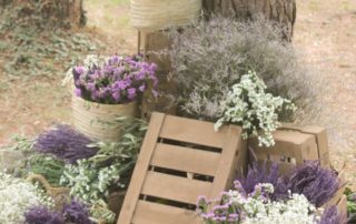 decorar una boda con lavanda y paniculata