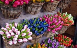 decorar una boda con tulipanes-1