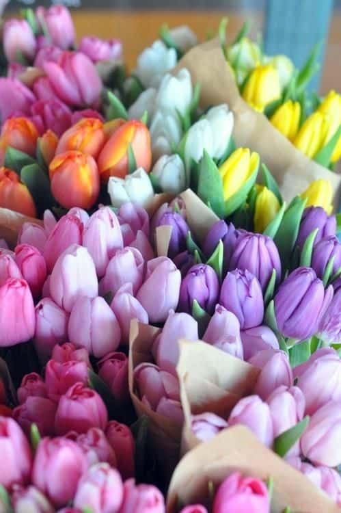 decorar una boda con tulipanes-2