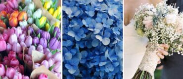 elegir-flores-decorar-bodas