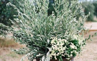decoracion de bodas con ramas de olivo y paniculata