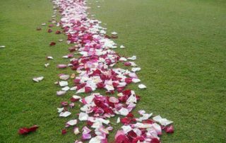 caminos de petalos de rosa-ideas de boda-1