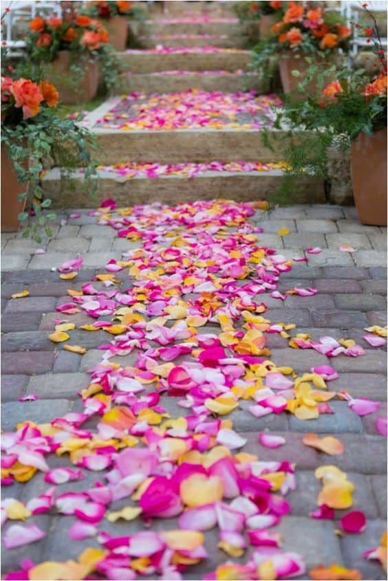 Camino de pétalos de rosa en una boda al aire libre en España Fotografía de  stock - Alamy