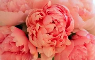 inspiracion-bodas en coral-color pantone 2019-5