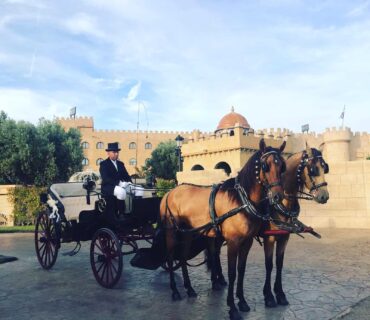 la llegada de los novios en carruaje de caballos