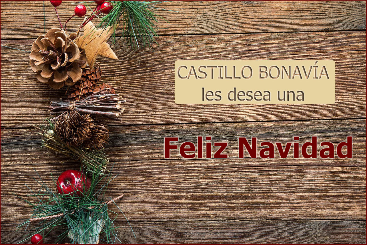 Feliz-Navidad-2020-Felicitación-Castillo-Bonavia