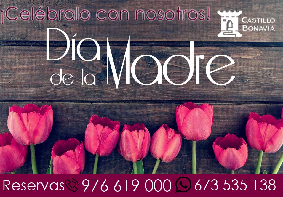 Celebra el Día de la madre en Castillo Bonavía-Zaragoza