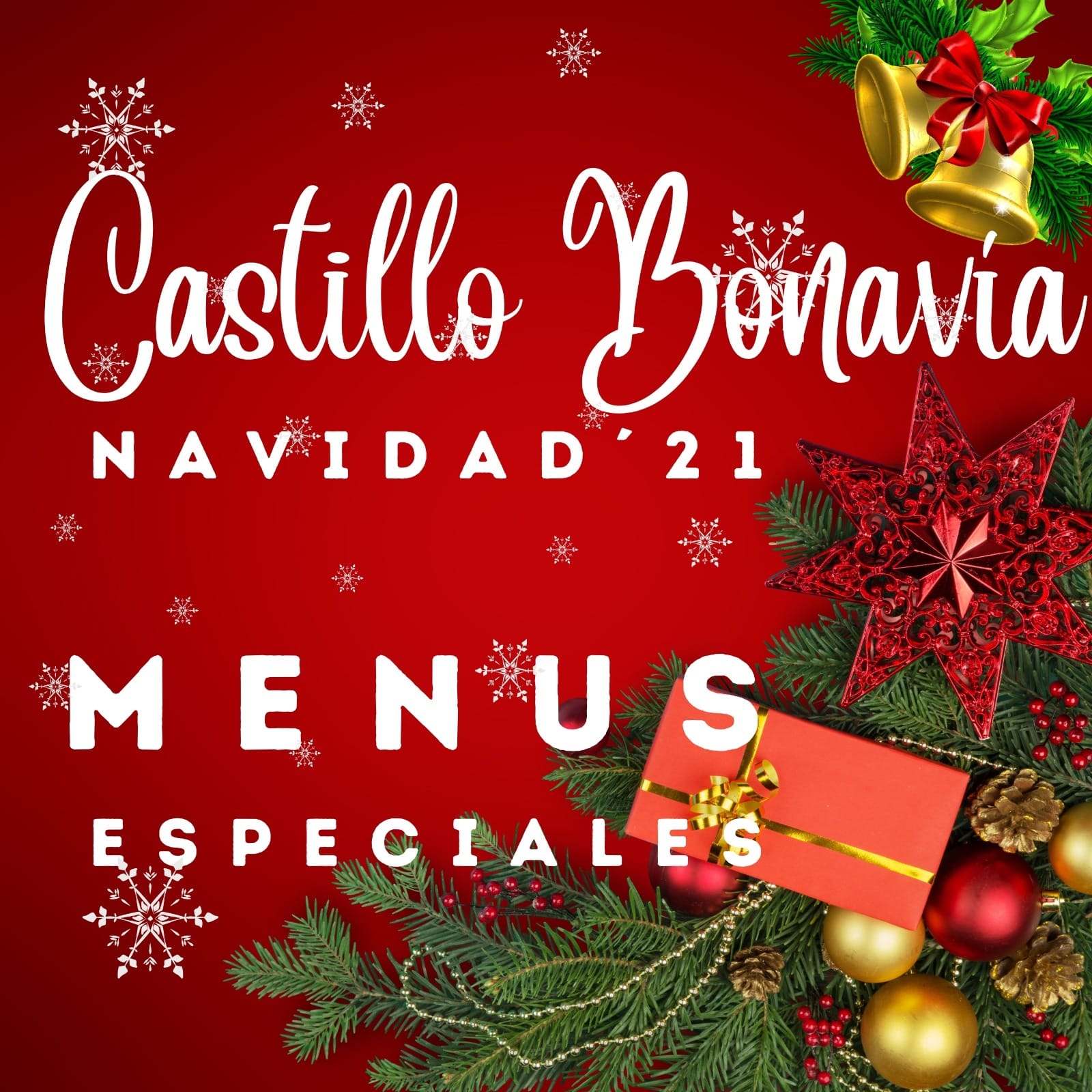 Menus Especiales-Navidad-Castillo Bonavía
