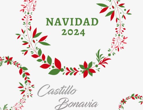 ¡Descubre nuestro Menú Especial de Navidad 2024!